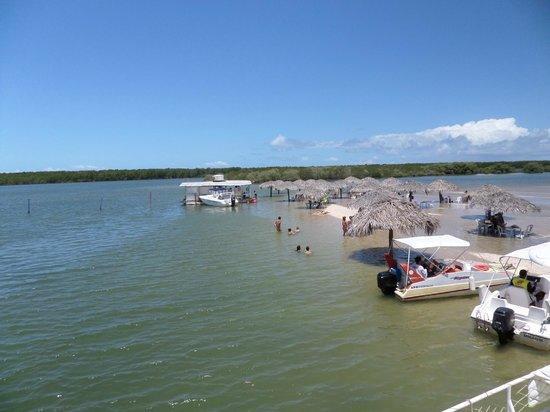 Apto Atalaia * Aracajú